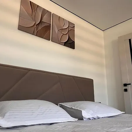 карпатський маєток2 Apartment Slavske
