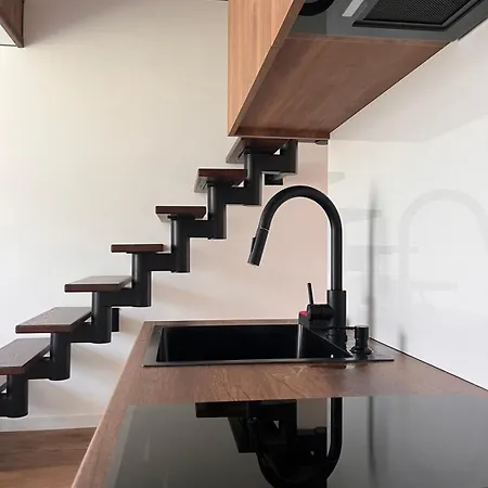 карпатський маєток2 Apartmán Slavske