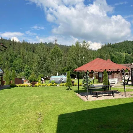 карпатський маєток2 Apartmán